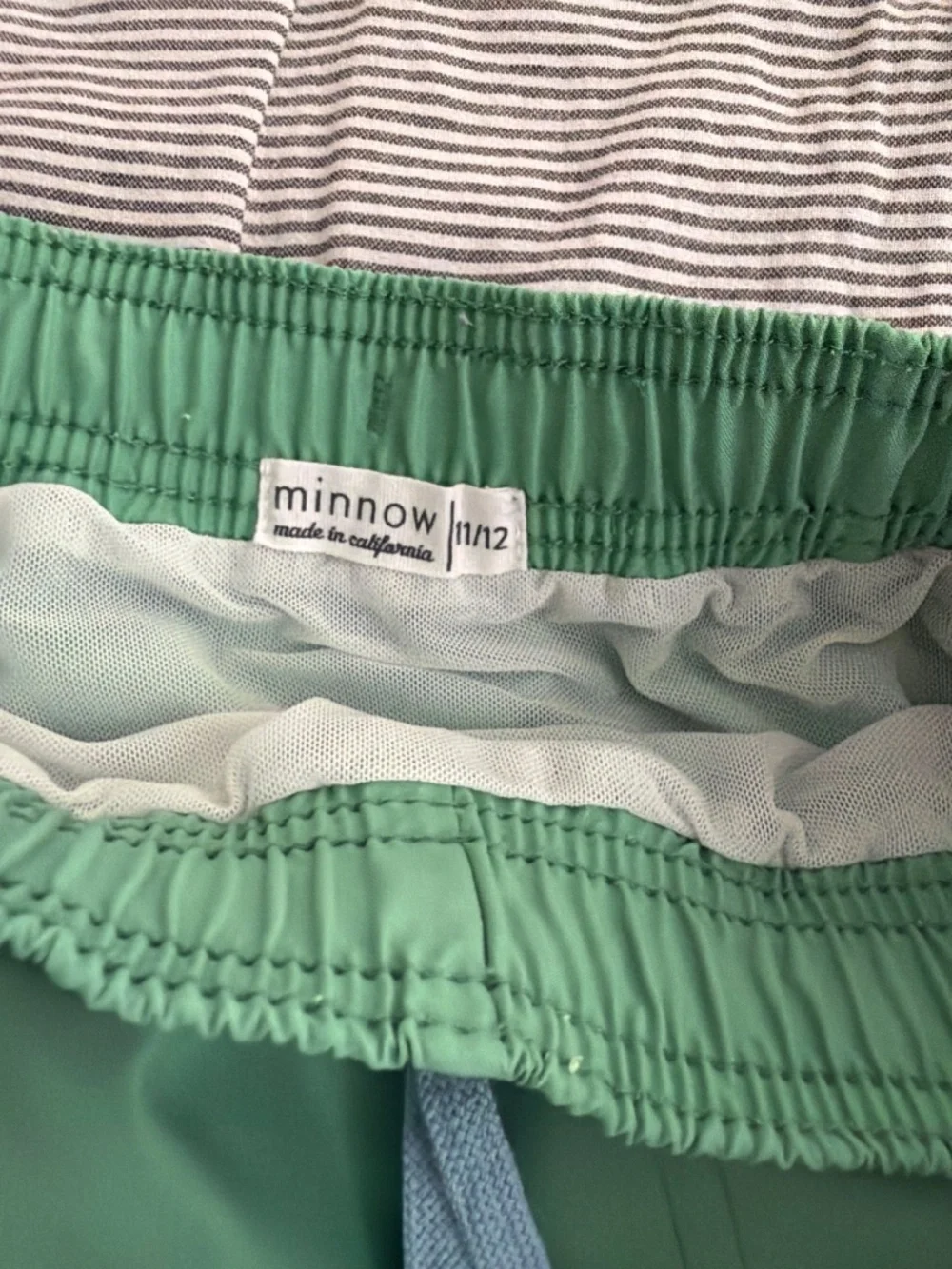 2 minnow swim shorts